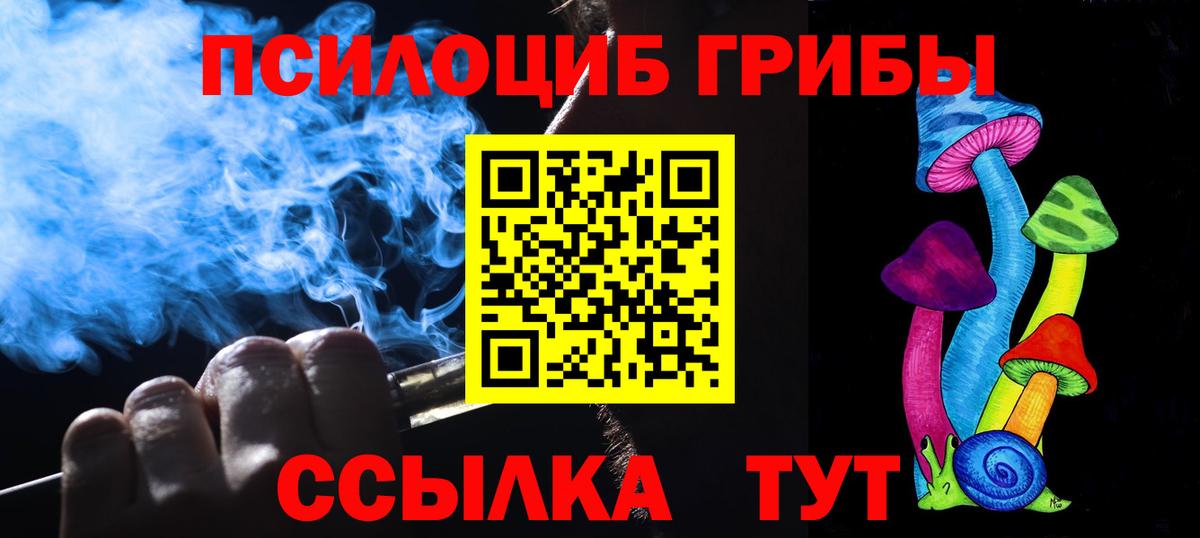 Находка  Галлюциногенные грибы Psilocybine cubensis  наркотики  Псилоцибиновые грибы MAGIC MUSHROOMS  Вход с VPN 
